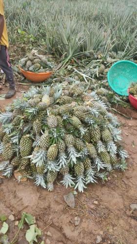 raw-material-to-factory